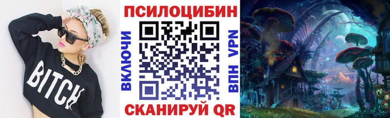 продажа наркотиков  Старая Купавна  OMG маркетплейс  Галлюциногенные грибы MAGIC MUSHROOMS 