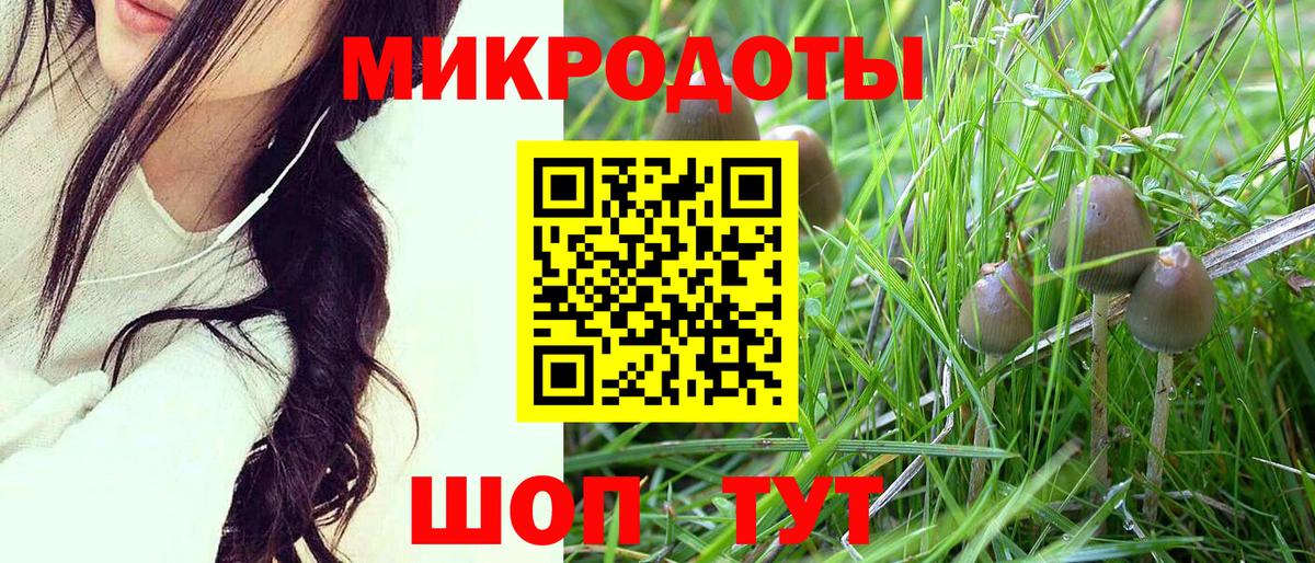 Галлюциногенные грибы мицелий Старая Купавна