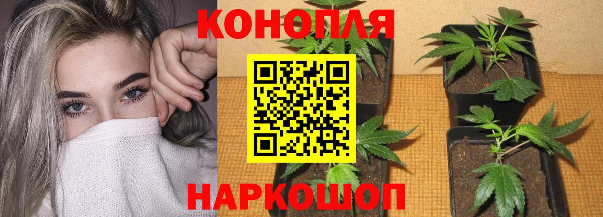 Бошки Шишки тримм  Вход с VPN  Бошки марихуана AK-47  Каннабис гибрид  Старая Купавна  МАРИХУАНА THC 21% 